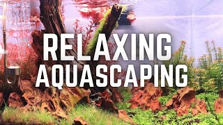 RELAXING 45p Aquascaping step by step (ASMR)