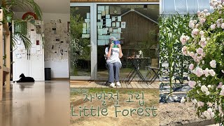 vlog | 여행브이로그 | 힐링이 필요해서 자체 숲속고립 |  숲속스테이 | 북스테이