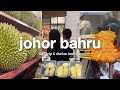 a short day trip to johor bahru | durian hunting, seafood dinner, car wash, groceries