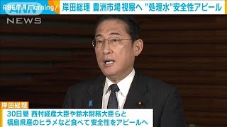 【独自】岸田総理が豊洲市場を視察へ　処理水放出受け安全性アピール(2023年8月29日)