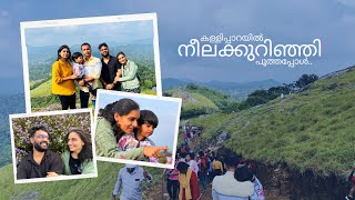 Neelakurinji | നീലക്കുറിഞ്ഞി | കള്ളിപ്പാറ | Kallipara