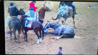 2026 Kentucky Derby horse "Great White" rolls over on track!!!!
