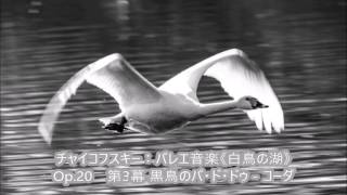 チャイコフスキー：バレエ音楽《白鳥の湖》Op 20　第3幕 黒鳥のパ・ド・ドゥ   コーダ