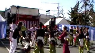 葵祭り　総踊り．ウラジャ　人繋ぎ＆音羽華炎　２００９/１０/１１