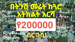 በትንሽ መሬት ላይ የጓሮ አትክልት በማልማት እንዴት ከፍተኛ ገቢ ማግኘት ይቻላል? (How can we earn a lot of money from gardening?)