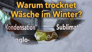 Warum trocknet Wäsche im Winter? Prinzip Sublimation - Marcos Quizshow (Ep.38)