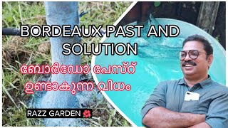 Bordeaux paste and bordo solution making video ബോർഡോ പേസ്റ് ഉണ്ടാകുന്ന വിധം