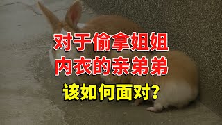 对于偷拿姐姐内衣的亲弟弟，该如何面对？ #今日话题  #每日段子