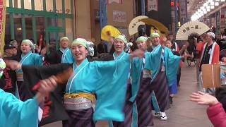 よさこい鳴子連 今日一屋(一番街B会場)2017四日市よさこい祭り