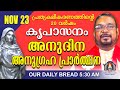 നവംബർ 23 | കൃപാസനം അനുദിന അനുഗ്രഹ പ്രാർത്ഥന | Our Daily Bread |പ്രത്യക്ഷീകരണത്തിന്റെ ഇരുപതാം വർഷം.