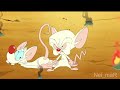 pinky and the brain season 3 being gay af