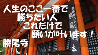 勝尾寺　【人生のここ一番で勝ちたい人　必見！】