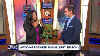 Avoiding Ragweed