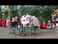 2013 lion dance competition 乌冷福建公会龙狮团 2013年傳統舞獅比賽