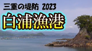 アオリイカの隠れ人気ポイント「白浦漁港」は釣れます！が釣る場所が狭く、ルールの多い要注意ポイントです【三重の堤防釣りポイント　2023年 版】