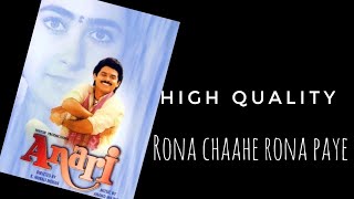 Rona Chahe Ro Na Paye | Anari (1993) Anand-Milind & Udit Narayan | (HIGH QUALITY & 5.1)