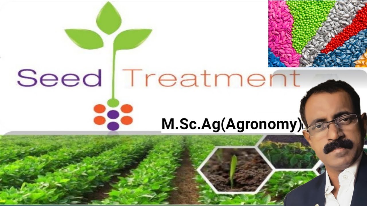 Seed Treatment - YouTube