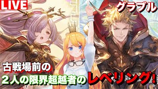 【グラブル 】古戦場前にシエテ＆ニオのレベリング！【カドミツのグラブル配信】