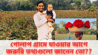 গোলাপ গ্রাম সাদুল্লাপুর, বিরুলিয়া, ঢাকা। The Rose Village