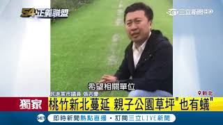 紅火蟻失控啦!北台灣一個里9成居民都被咬 爆農業局灑藥\