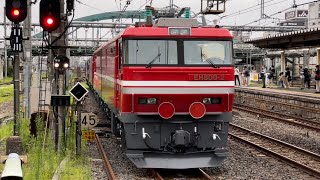 超カオスな3重単！【OM出場無動回送】JR貨物EF210-341＋ムドEH500-32＋EH800-2が警笛を鳴らして大宮駅11番線に逆走入線するシーン（単8253レ）2022.8.4