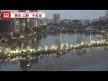 【天気ライブ】上野公園 ライブカメラ　桜の様子は ──cherry blossoms at shinobazu pond in ueno japan