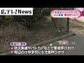 【イノシシに襲われ４人けが】警戒呼びかけ