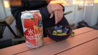 2024/12/09【限定品早朝飲み】キリン 氷結 福岡産あまおう・業スー そらまめ