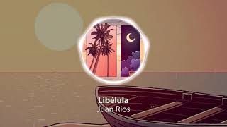 Juan Rios - Libélula  [Study, Play, Relax and Sleep with the best of Lofi]