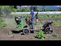 ✅kawell inta tractor cultivator 9 hp mini tractor