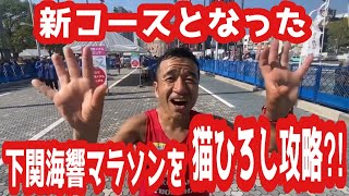 新コースとなった下関海響マラソンを猫ひろし攻略⁈