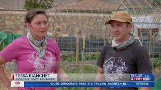 Rise of urban farms in the Borderland