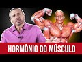 Músculos Produzem Hormônios? | Dr. Italo Rachid