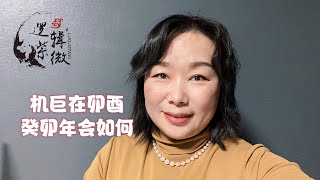 【逻辑紫微】Elisa  机巨组合癸卯年会怎样呢？