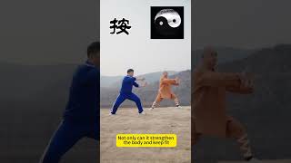 Wudang Tai Chi Eight Methods Teaching, Self-defense #wudang #taichi #health#Qigong # Chinese Kung Fu