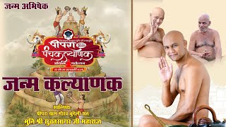 25-01-25।जन्म कल्याणक।तृतीय दिवस।मुनि श्री की जन्म स्थली पीपरा।पंचकल्याणक प्रतिष्ठा महोत्सव