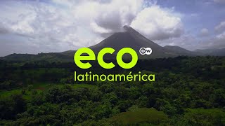 Eco Latinoamérica. El magacín del medio ambiente