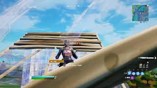 Fortnite_20201116060834