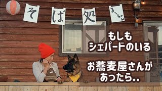 【ジャーマンシェパード】愛犬とごっこ遊びしてみました！[German Shepherd] Playing restaurant with my dog!