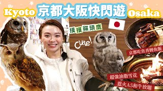 🇯🇵 京都大阪快閃遊 最終回｜🦉超超超可愛貓頭鷹 近距離任摸😍日日下雨去邊好？京都老店吃美味饅魚飯、超彈牙烏冬🥢100分鐘限時🦀放題！心齋橋亂入燒肉店 食爆神戶A5和牛🥩＜Travel Vlog＞