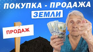 Рынок земли открыт: как продать или купить землю в Украине