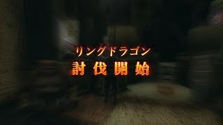 【FF12TZA】リングドラゴン【モブ】