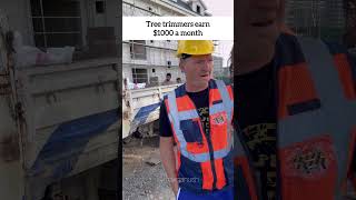 Tree trimmers earn $1000 a month