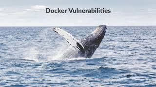A Compendium of Container Escapes
