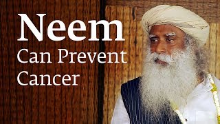 How Consuming Neem Can Prevent Cancer – Sadhguru