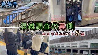 【新潟県】混雑調査の裏側をご紹介 全国ワースト上位の混雑路線が凄い！  通勤ラッシュ  信越本線 混雑 満員電車  rush hour  【満員電車】