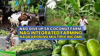 Pinaputol ang Coconut Farm, Para Mag Integrated Farming, Nagkaron ng Multiple Income