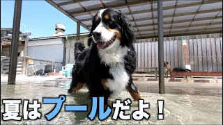 暑い夏は水遊びだ！