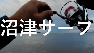 【沼津サーフ】サーフで投げてたら何かが掛かった