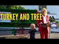 Turkeys and Trees in the Biden White House